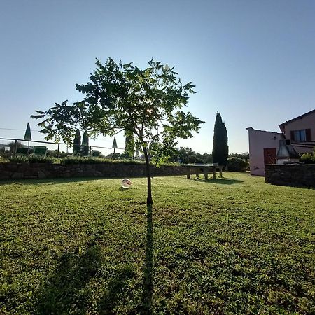 Podere S.Giulia - Casale S.Giulia Riotorto Exteriör bild